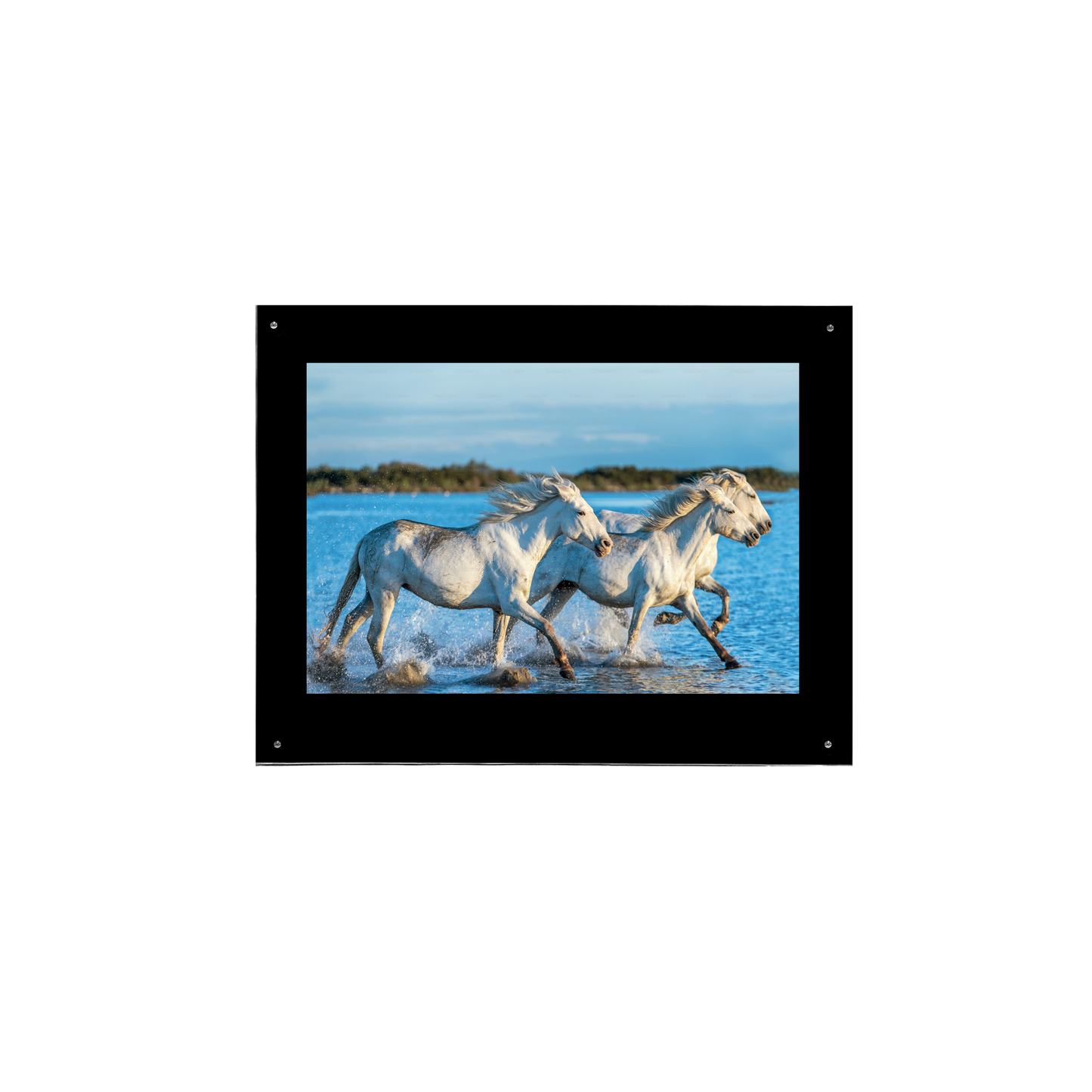 PATHER® Wall Mounted Picture Frame 10" W x 8" H or 8"W x 10"H - Universal
