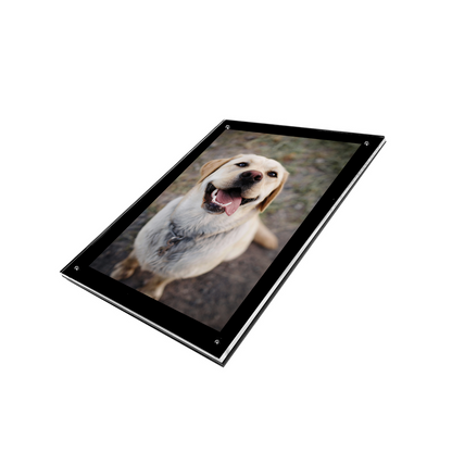 PATHER® Wall Mounted Picture Frame 10" W x 8" H or 8"W x 10"H - Universal